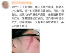 注意！这种“飞行硫酸”提前进入活跃期，告